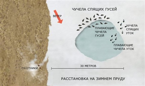 Схема расстановки чучел уток на охоте