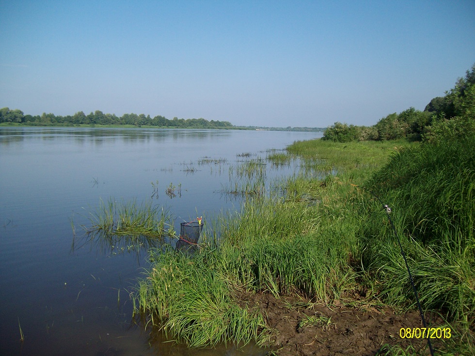 Форум водоемов