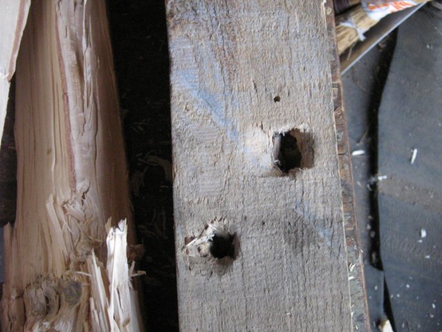 Пуля "NikA" после 120 мм сосновых досок,  пробила дыру в последнем брусе