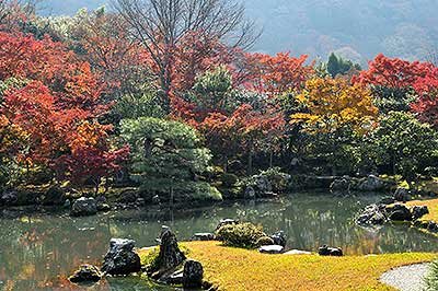 Японский сад 99