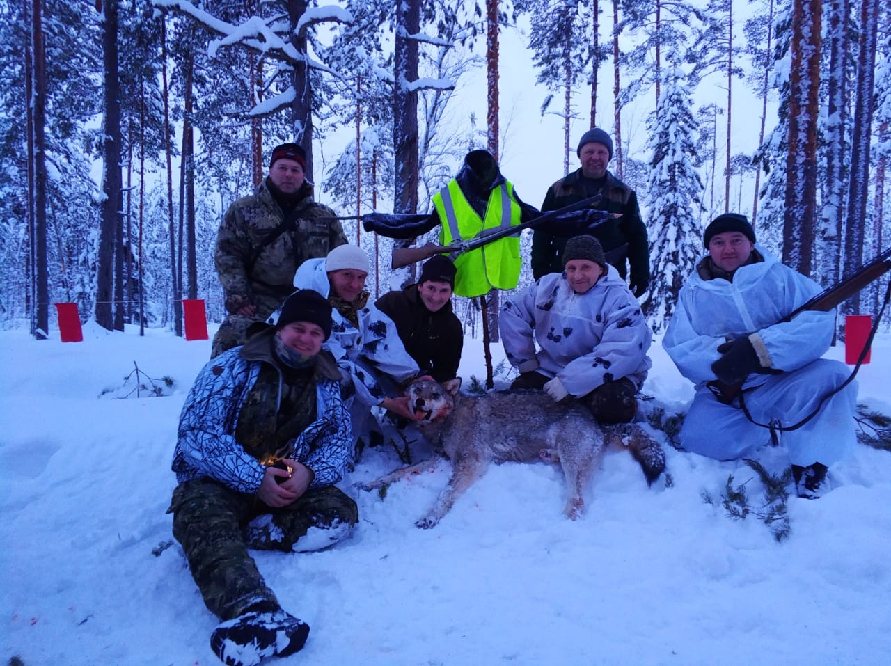 Первая группа охотники. Охота на волка в Вологодской области. Охота на волка флажками Вологодской области. Охота на волка в Ленинградской области.