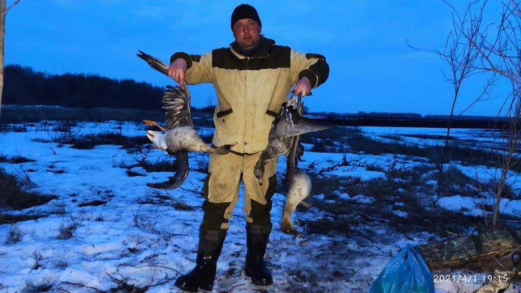 Открытие весенней охоты 2024. Весенняя охота на селезня 2021. Охота на гуся в Пермском крае.
