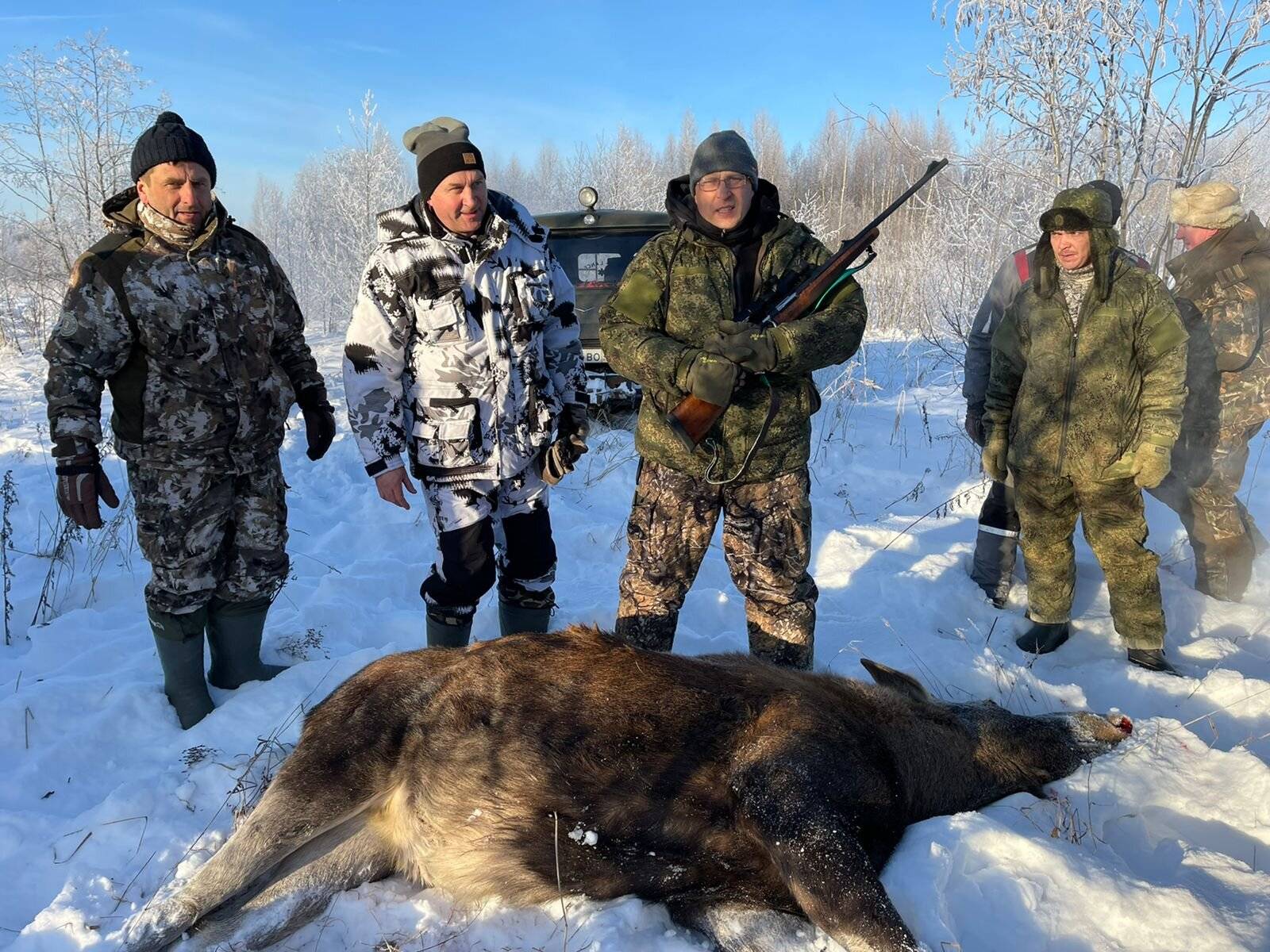 Загонная охота в Ярославской области