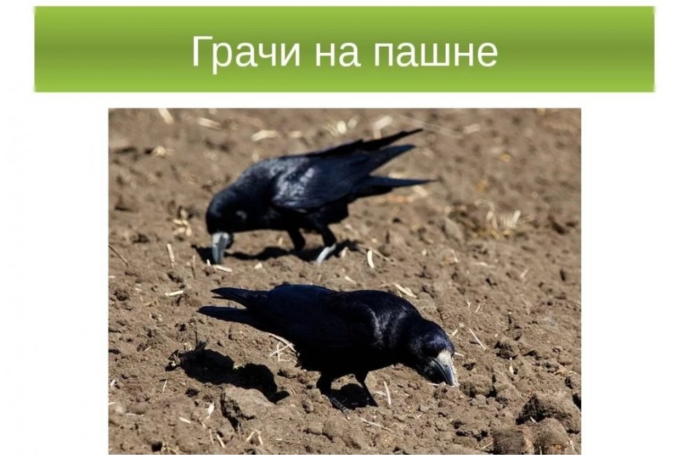 Screenshot_20220403-103725_Yandex.jpg