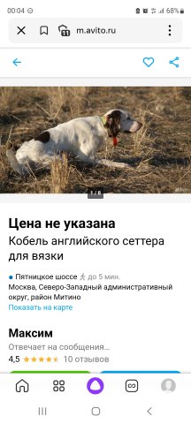 Screenshot_20221110-000401_Yandex Start.jpg