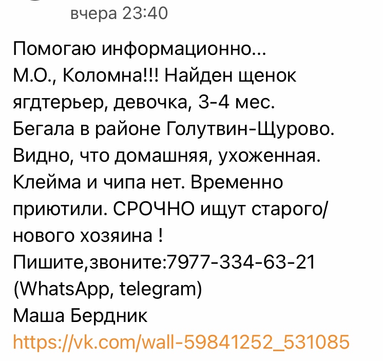 Проститутки Самары: найти лучшую шлюху, снять индивидуалку, путану