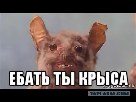 Картинки тварь тупая