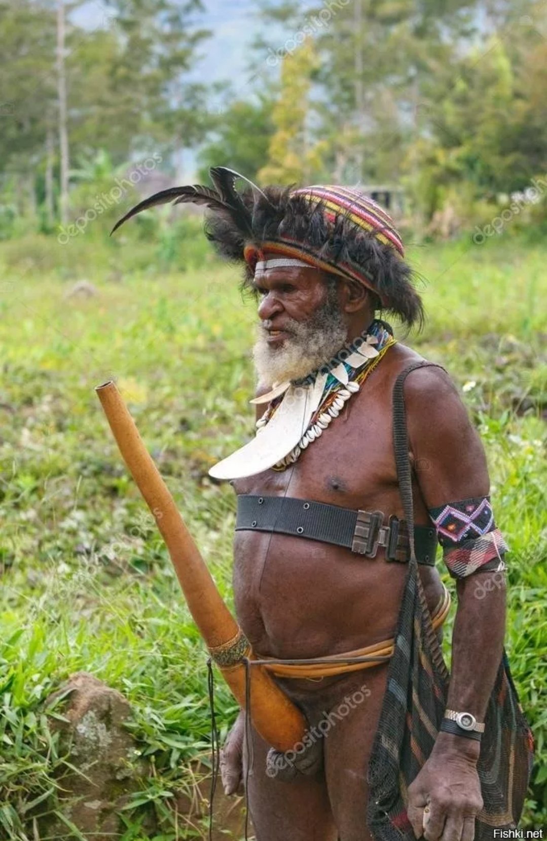 член мужчин племени фото 73