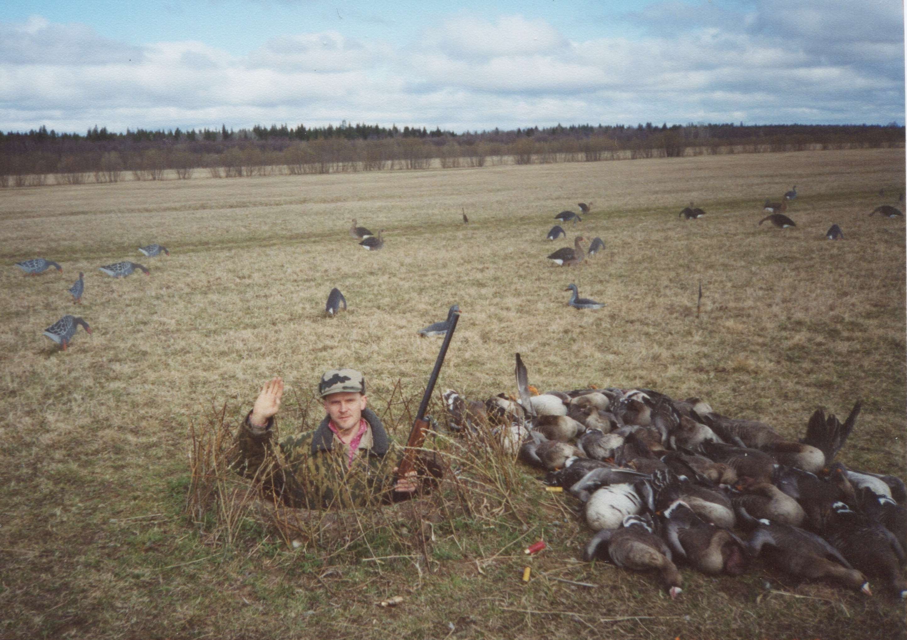 Где охотиться на гуся. Охота на гуся в Архангельской области 2022. Весенняя охота на гусей 2024. Охота на гуся на болоте 2022. Охота на гусей в Архангельской области на болотах.