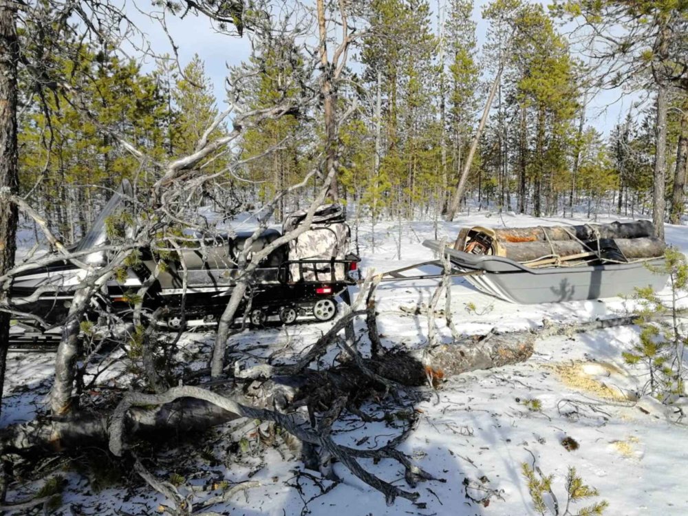 С дровами.jpg