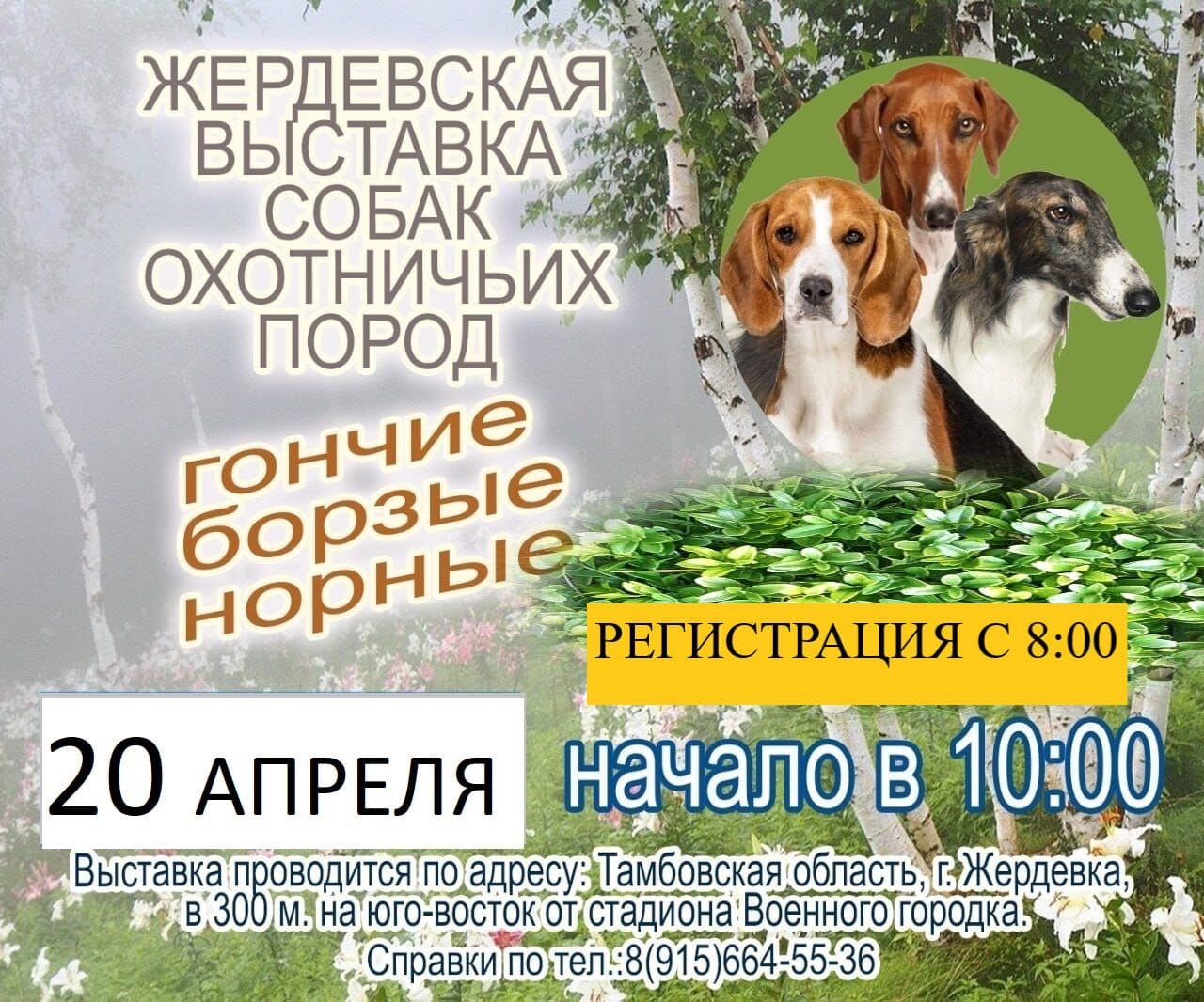 Выставки собак - - расписание | TopDog - Международные выставки собак