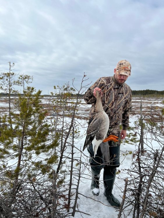 IMG-20240513-WA0001-Яковлев гумяш .jpg