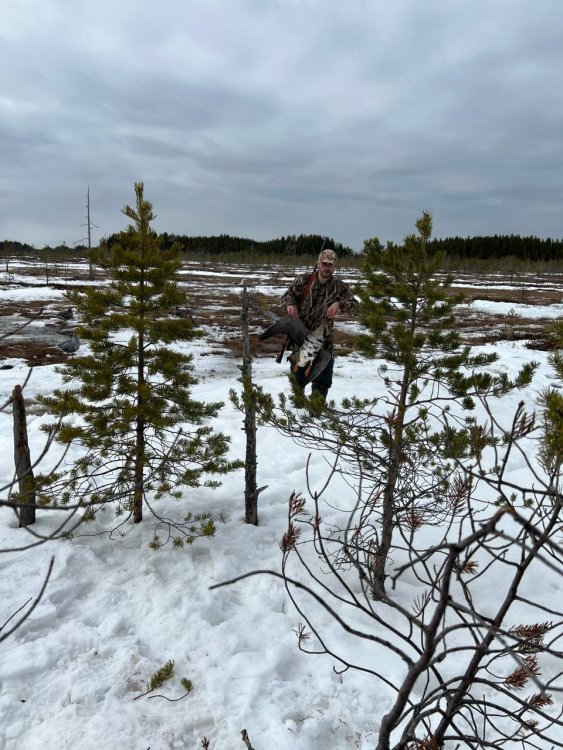 IMG-20240513-WA0002-Яковлев белолоб.jpg