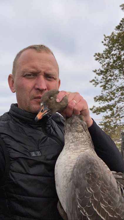 IMG-20240513-WA0003-Бештейнов гумяш.jpg