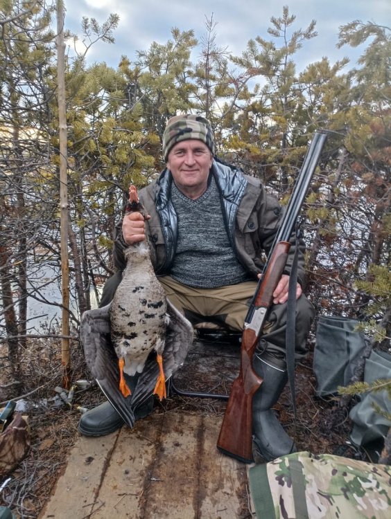 IMG-20240517-WA0025-СавинА белолоб ДА.jpg