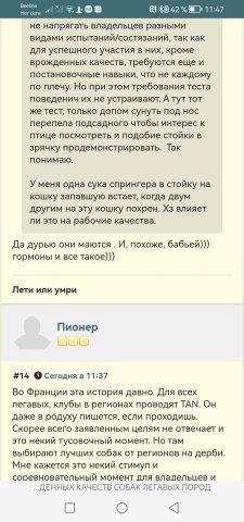 Screenshot_20240724_114724_com.yandex.browser.jpg