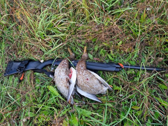 WhatsApp Image 2024-09-14 at 09.07.24