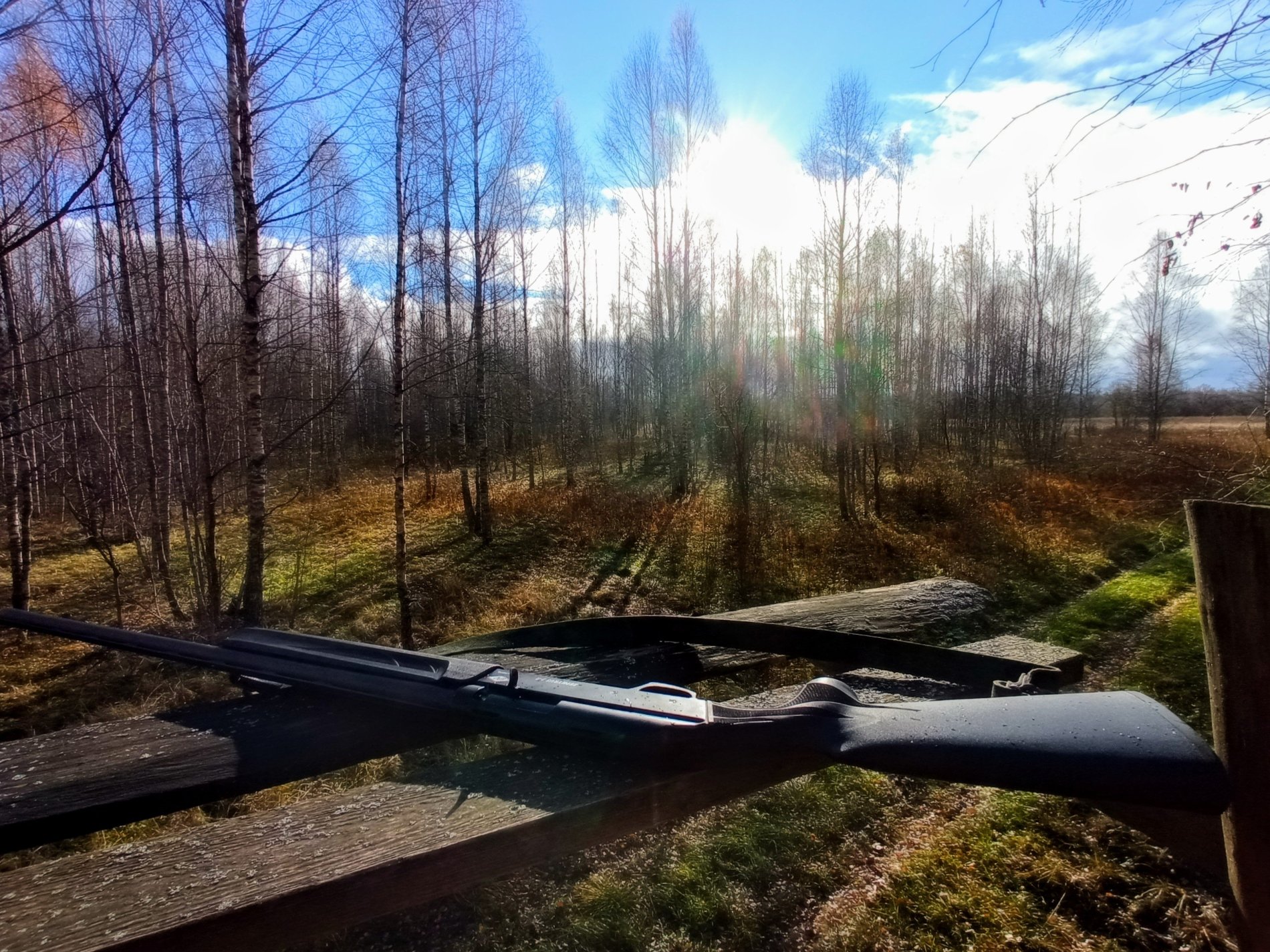 large.IMG_20211024_1105382.jpg.61f567a8f