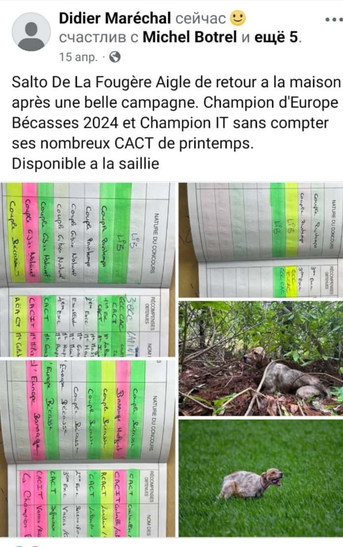 Разное