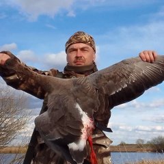 Михаил Каменецкий