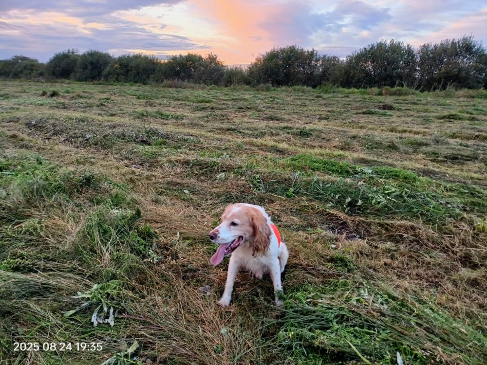 WhatsApp Image 2025-08-25 at 09.10.45 (1).jpeg