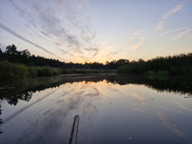 Талдомское ОРХ, 31.08.25