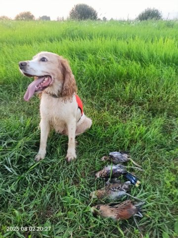 WhatsApp Image 2025-08-03 at 12.47.52 (1).jpeg