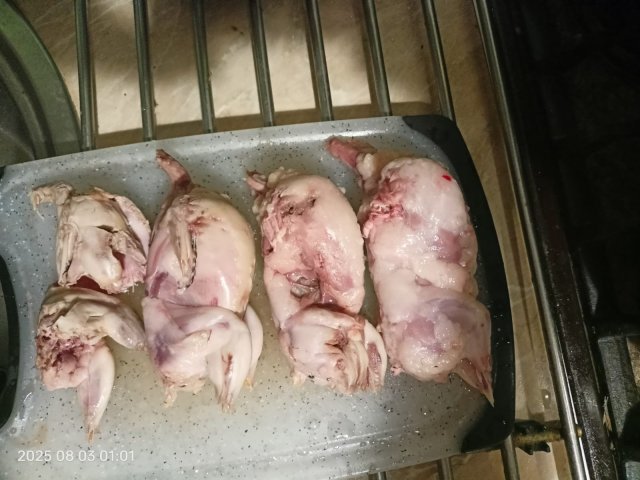 WhatsApp Image 2025-08-03 at 12.48.14 (1).jpeg