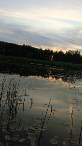 3O-IMEtMDKshYf8BSgFW-pLBpURycyHCgr_mz1EenandkPlHhtsYYSBcyzq2583j8U6BG_pVUiIDaqNcOg7uvV17 (1).jpg