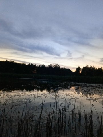 94aT001XpI1cwQMr48XtIQlK3H61hoCqSGxWA0QguVqVqC-uuZ9os0nupEmcgR6hNR5vO-9DKcD4a_MWzQsKfiDm (1).jpg