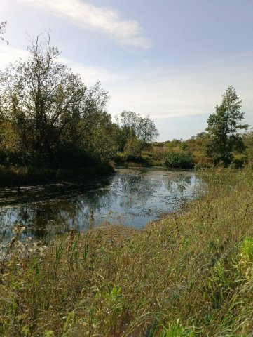 F_5FneAYR1VvaYJOPMN8A-vVh2pujtrPVjw5j8Zlpqz1X6RmjTXNAFhrP-DYPprUOo15SYtRpOEaa_ZBIwhMqUuk (1).jpg