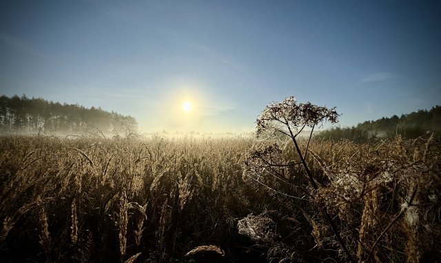 Сентябрь 2025