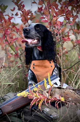 Краски осени. Сентябрь 2025