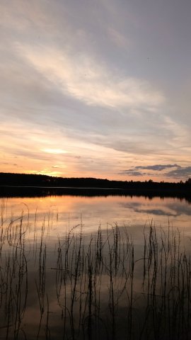 UZUxdgNl-WUMYYs8RG2fzVlAY8q6B5_pJ8DyUgLz0xRN1H36KVUYv68DhA1utiBg1T2Wu6nW0a2jnAAf1fPRxJ7h (1).jpg