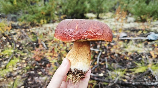 Сахалин - 1.jpg