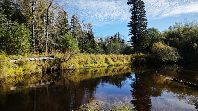 Сахалин - 7.jpg