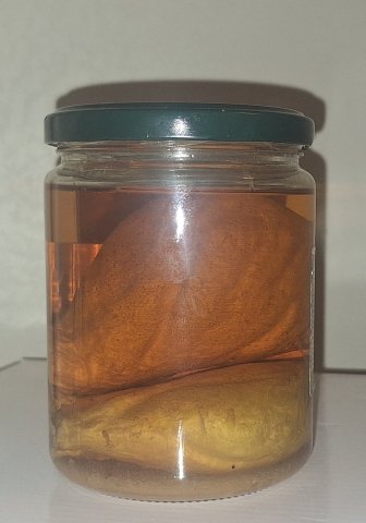 Бобровая струя.jpg