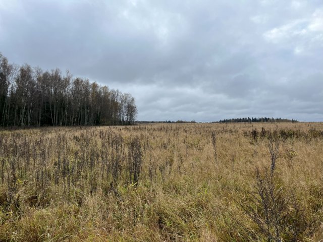 small.IMG_01022.jpg.62130d1bd22654370ece