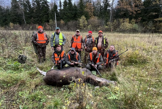 small.IMG_0125222.jpg.b86fef1db2a07eb81b