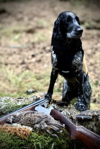 Дождь. Октябрь 2025