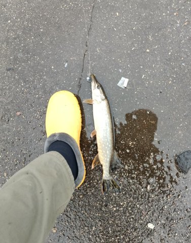 Screenshot_20251028-232557 (1).png