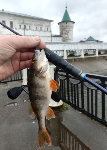 Screenshot_20251028-232631 (1).png