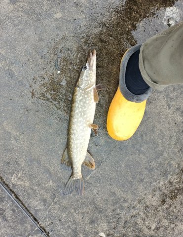 Screenshot_20251028-232642 (1).png