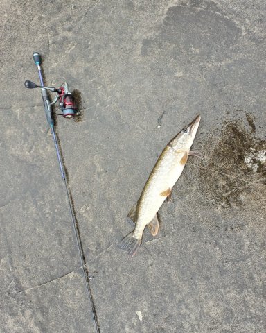 Screenshot_20251028-232648 (1).png