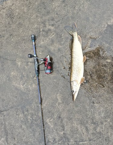 Screenshot_20251028-232714 (1).png