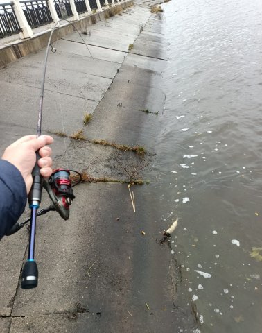 Screenshot_20251028-232723 (1).png