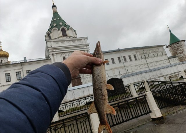 Screenshot_20251028-232736 (1).png