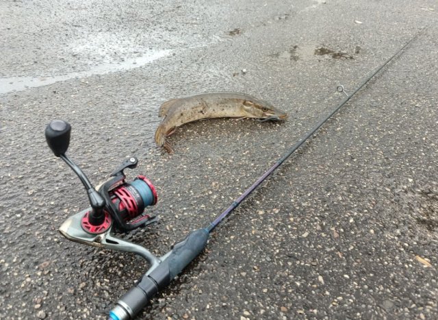 Screenshot_20251028-232747 (1).png