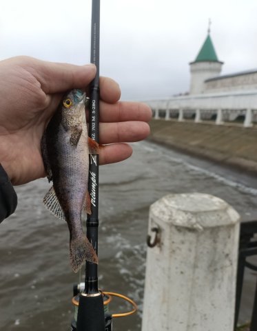 Screenshot_20251028-233037 (1).png