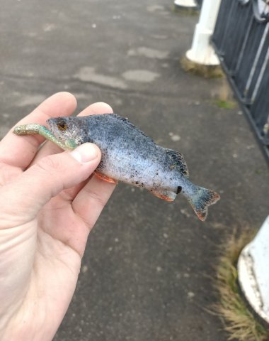 Screenshot_20251028-233044 (1).png